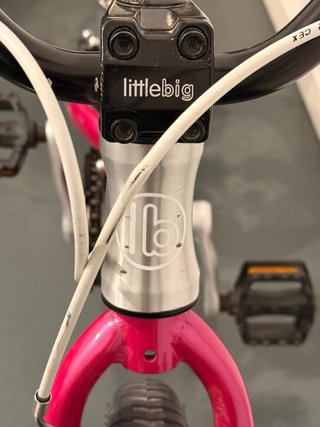 Bicicleta evolutiva LittleBig Bike (marca Woom)