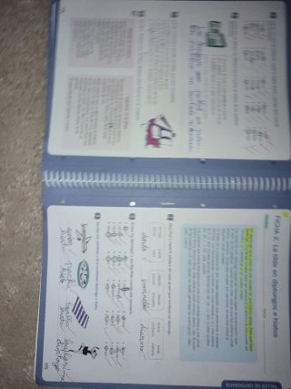 Lengua +, 6 Primaria, Tareas y destrezas comuni...