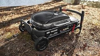 Barbecue Weber Traveler a Gas - Come Nuovo