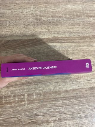 Antes de diciembre (edición revisada por la aut...