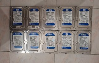 Lotto 10 Hard Disk 250GB SATA WD