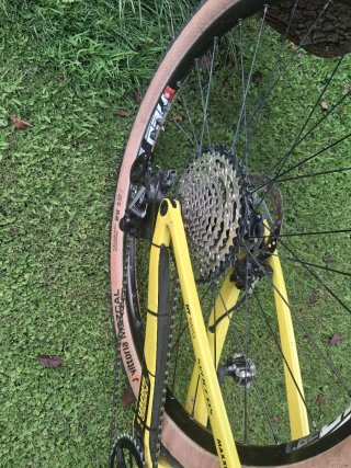 Scott Spark RC WC