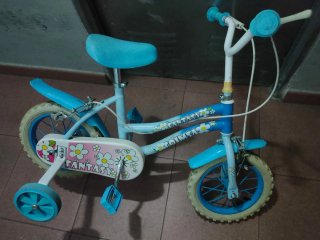 Bicicleta infantil azul con ruedines