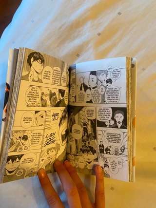 Manga Haykyu