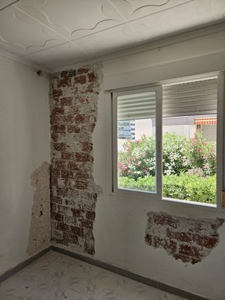 Pintor y Reforma