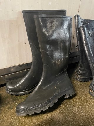 Botas de agua/katiuskas trabajo impermeables