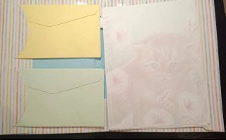 Papel de carta y sobres gatito y flores