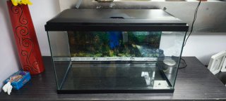 Acuario Ciano 60 con todo el equipamiento