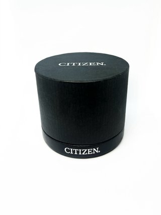 Citizen Eco-Drive Cronógrafo Brújula Negro Marrón