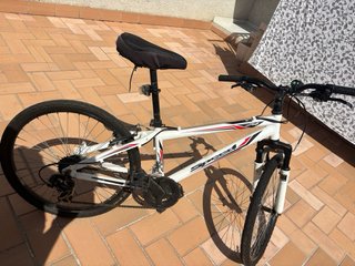 Bicicleta blanca y negra