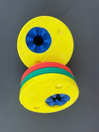 Manguitos natación tricolor Delphin