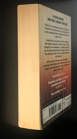 The Burnt House de Faye Kellerman