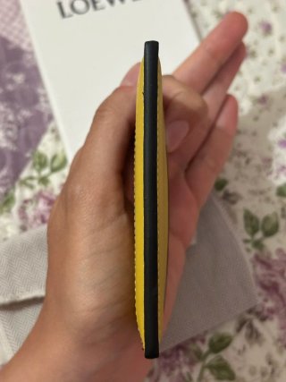 Cartera Tarjetero Loewe Multicolor