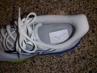 Zapatillas Mizuno Wave Rider 29 Talla 45