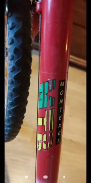Bicicleta Montaña