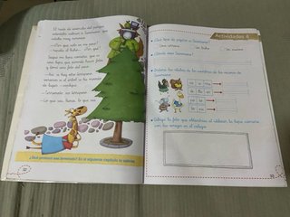 Libro de primaria los misterios del lobo lupas 1