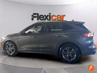 Ford Kuga ST-Line 2.0 EcoBlue 88kW (120CV) Auto