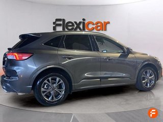 Ford Kuga ST-Line 2.0 EcoBlue 88kW (120CV) Auto