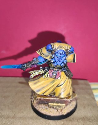 Bibliotecario Primaris Warhammer 40k