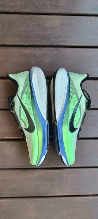 Nike Air Zoom Pegasus 42 Talla 42