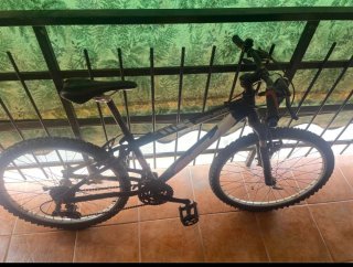 Bicicleta Conor Rin 25