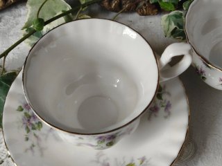 Violette Royal Albert