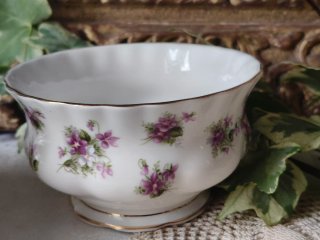Violette Royal Albert