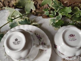 Violette Royal Albert