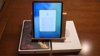 iPad Pro 256 GB Gris Espacial Wifi