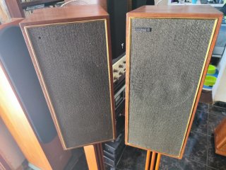 Altavoces Celestion Ditton 15