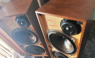 Altavoces Celestion Ditton 15