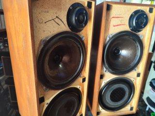 Altavoces Celestion Ditton 15
