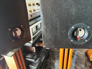 Altavoces Celestion Ditton 15