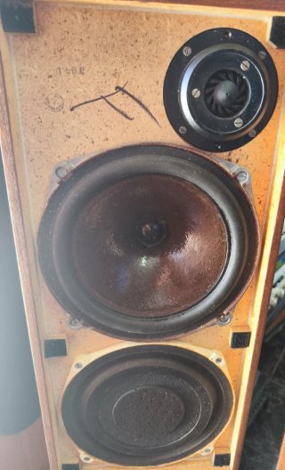 Altavoces Celestion Ditton 15