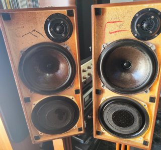 Altavoces Celestion Ditton 15