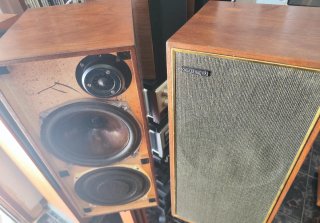Altavoces Celestion Ditton 15