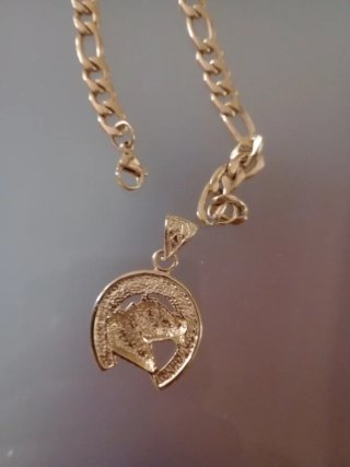 Cadena dorada con colgante de herradura
