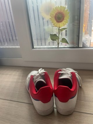 Adidas Hoop 4.0 Scarpe da Ginnastica Bianche Rosse