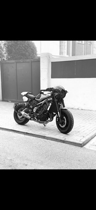 Yamaha XSR 900 Cafe Racer 115cv