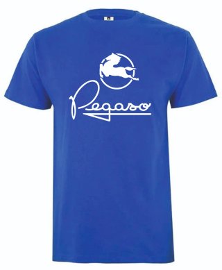 Camiseta Logo BARREIROS