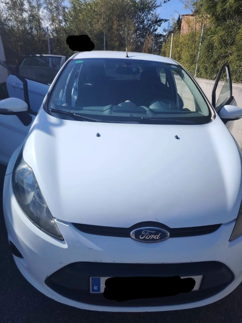 Ford Fiesta 2010 - foto 1