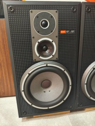 Altavoces Sony SS G1