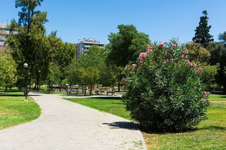 Piso en alquiler en La Granja en Zaragoza