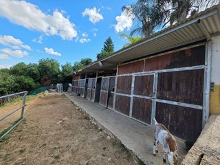 Local comercial en venta en Cártama pueblo en Cártama
