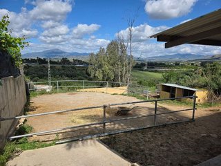 Local comercial en venta en Cártama pueblo en Cártama