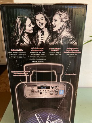 Altavoz Karaoke Voice con 2 micros