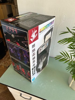 Altavoz Karaoke Voice con 2 micros