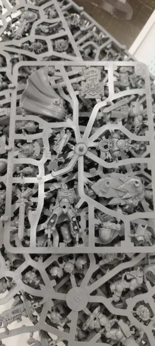Warhammer 40,000 Armageddon Marines
