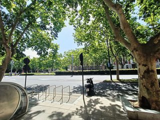 Oficina en alquiler en Pº Zorrilla - Cuatro de Marzo en Valladolid