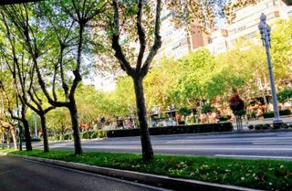 Oficina en alquiler en Pº Zorrilla - Cuatro de Marzo en Valladolid